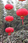 新年