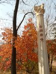 沈阳世博园