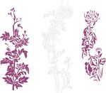矢量 菊花 线条