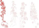 矢量 菊花