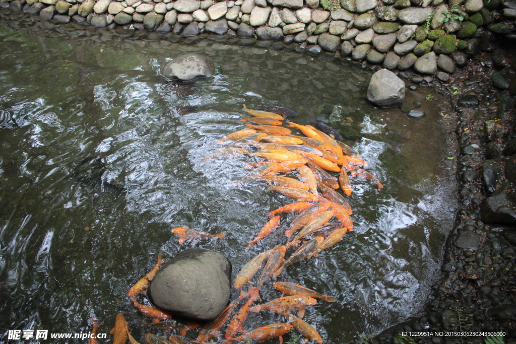 千岛湖