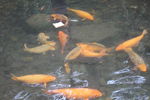 千岛湖