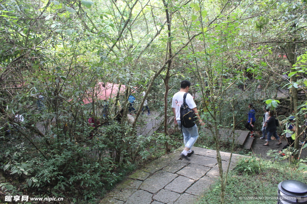 千岛湖森林氧吧