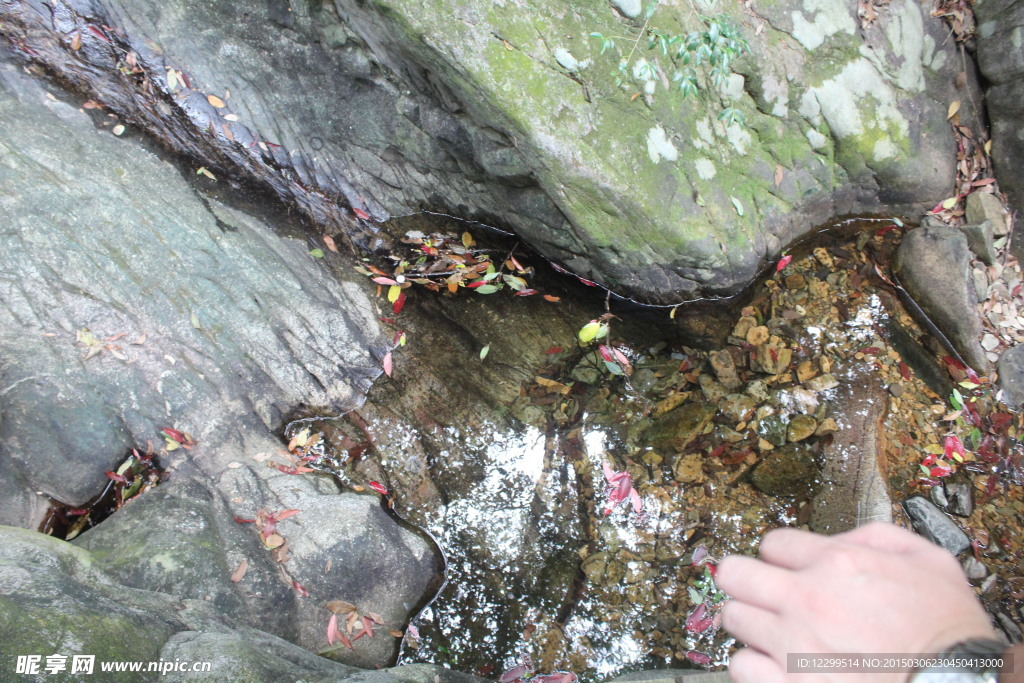 千岛湖森林氧吧