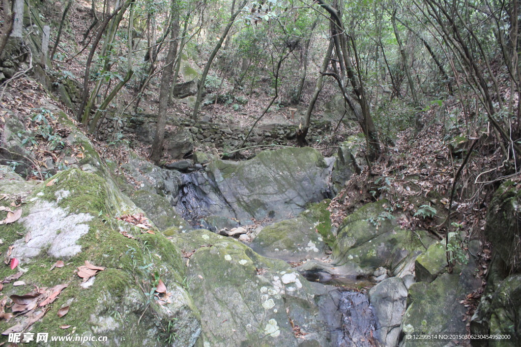 千岛湖森林氧吧