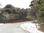 沈阳森林动物园