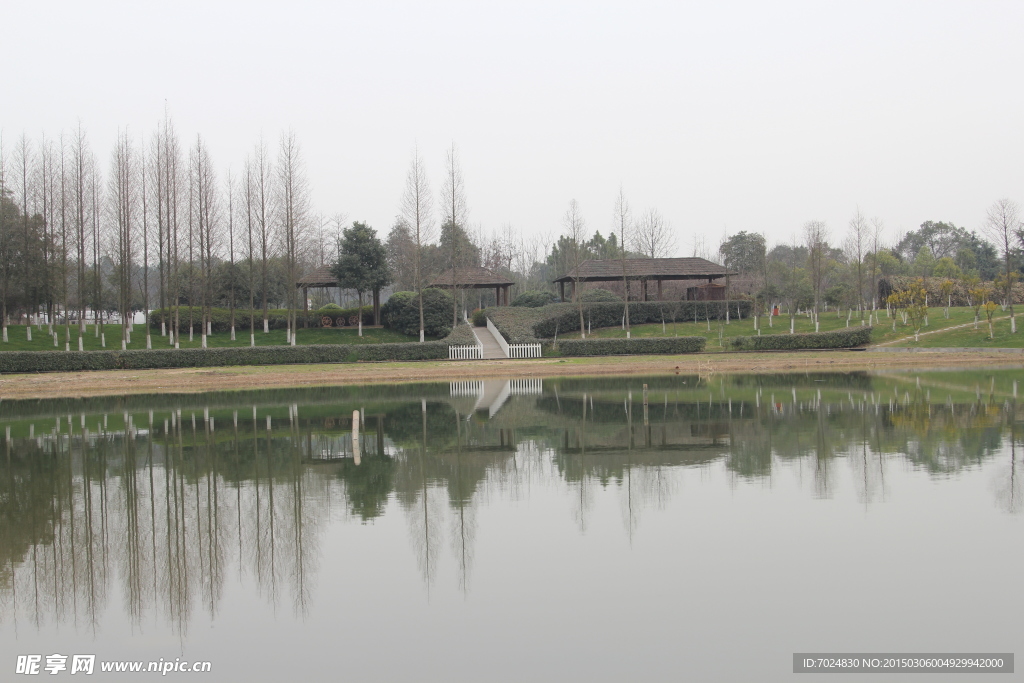 公园风景