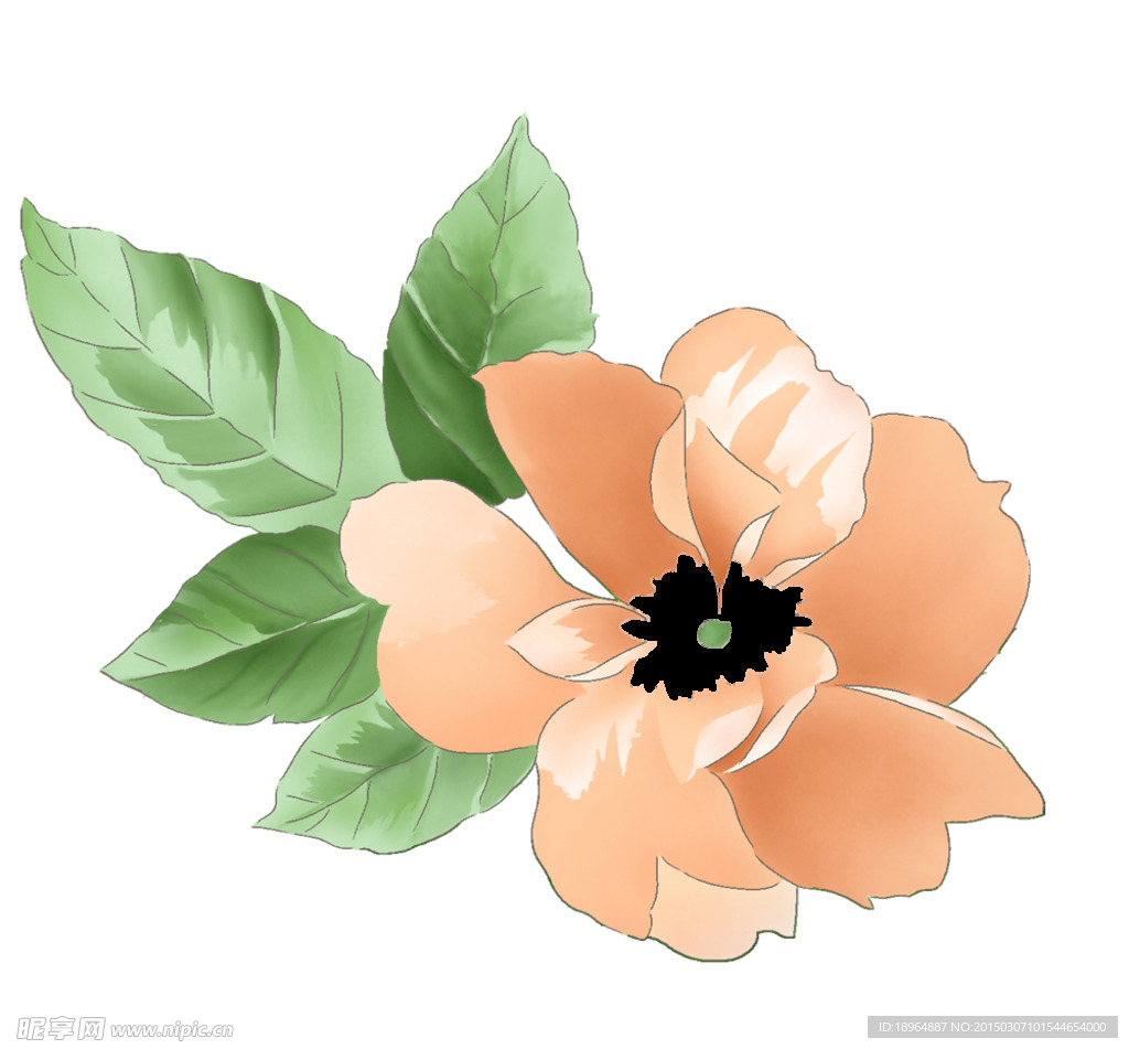 花 花素材 水墨花 花图片