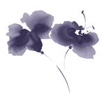 花 花素材 水墨花 花图片