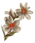 花 花素材 水墨花 花图片