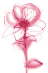 花 花素材 水墨花 花图片