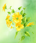 花素材