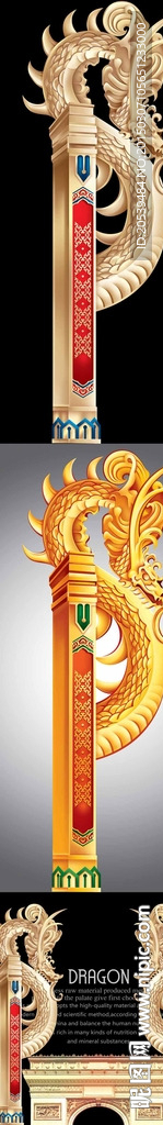 立体双色龙与柱