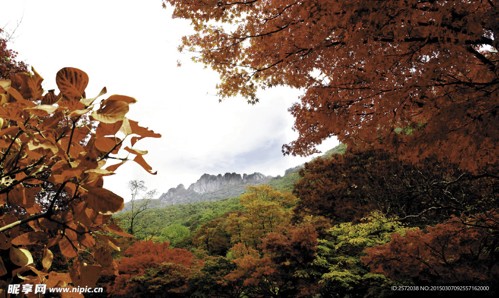 山野秋色