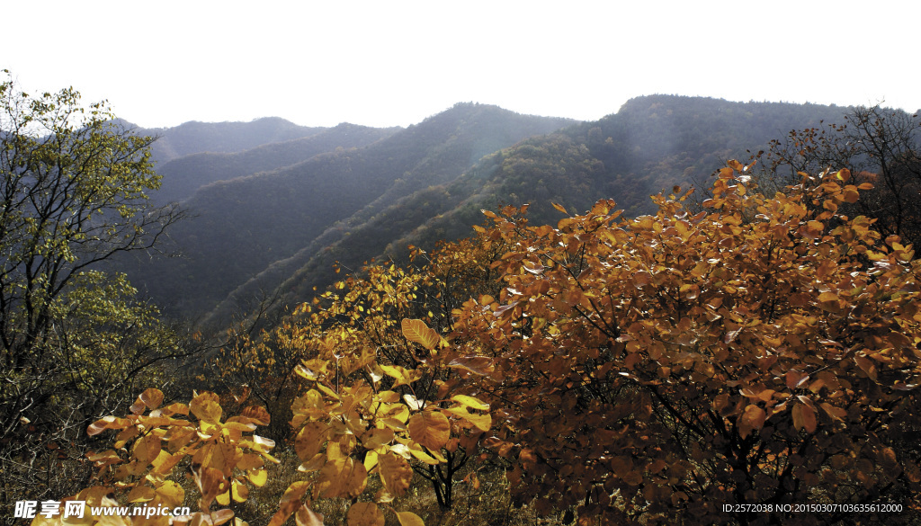 山岭秋色