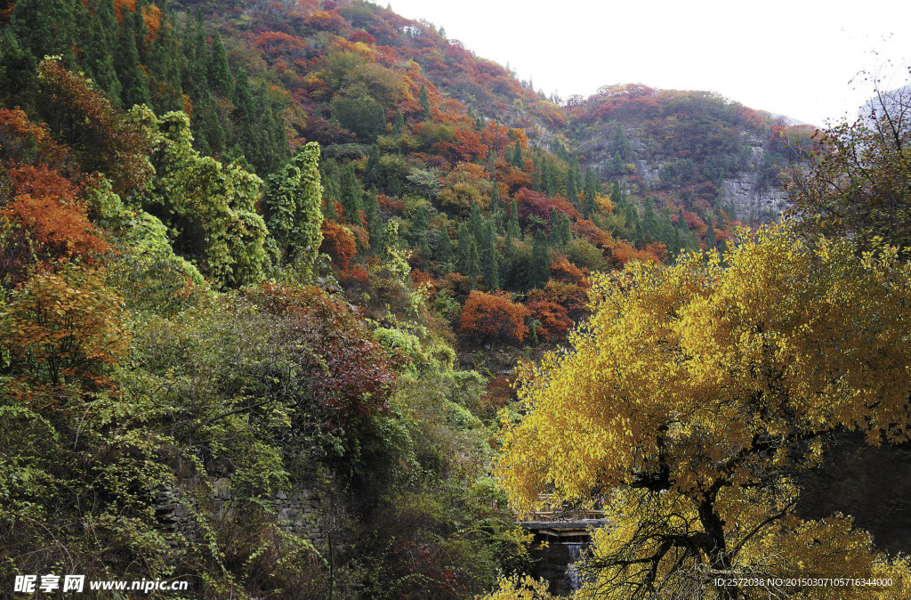 山野秋色