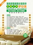 床垫单页