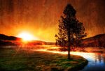 夕阳