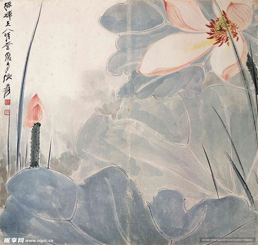 荷花