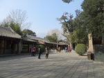 嵩阳书院