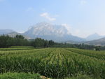少室山景色