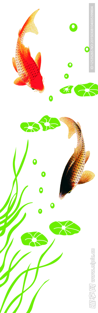 鲤鱼