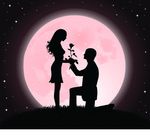 求婚 爱的见证