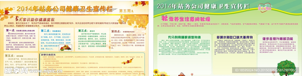 健康卫生宣传栏