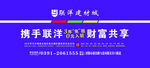 联洋路牌广告