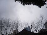 上海风景