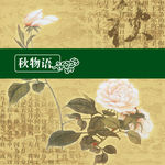 中秋月饼包装设计