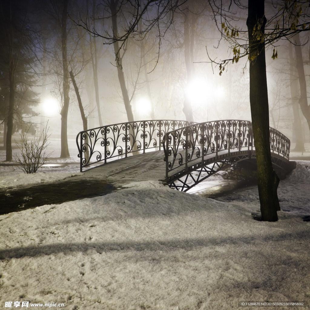 冬季公园小桥雪景