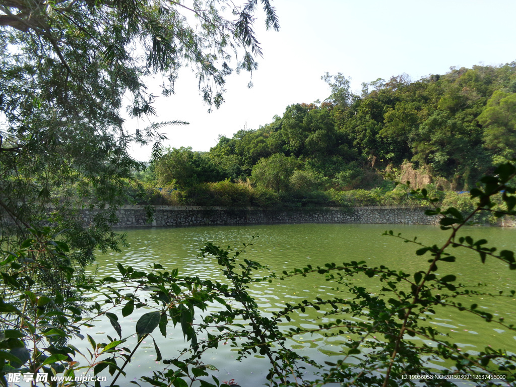 湖面景