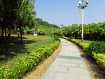 林间小路
