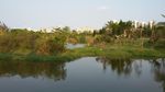 湖畔风景