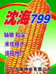 沈海799