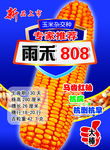 雨禾808