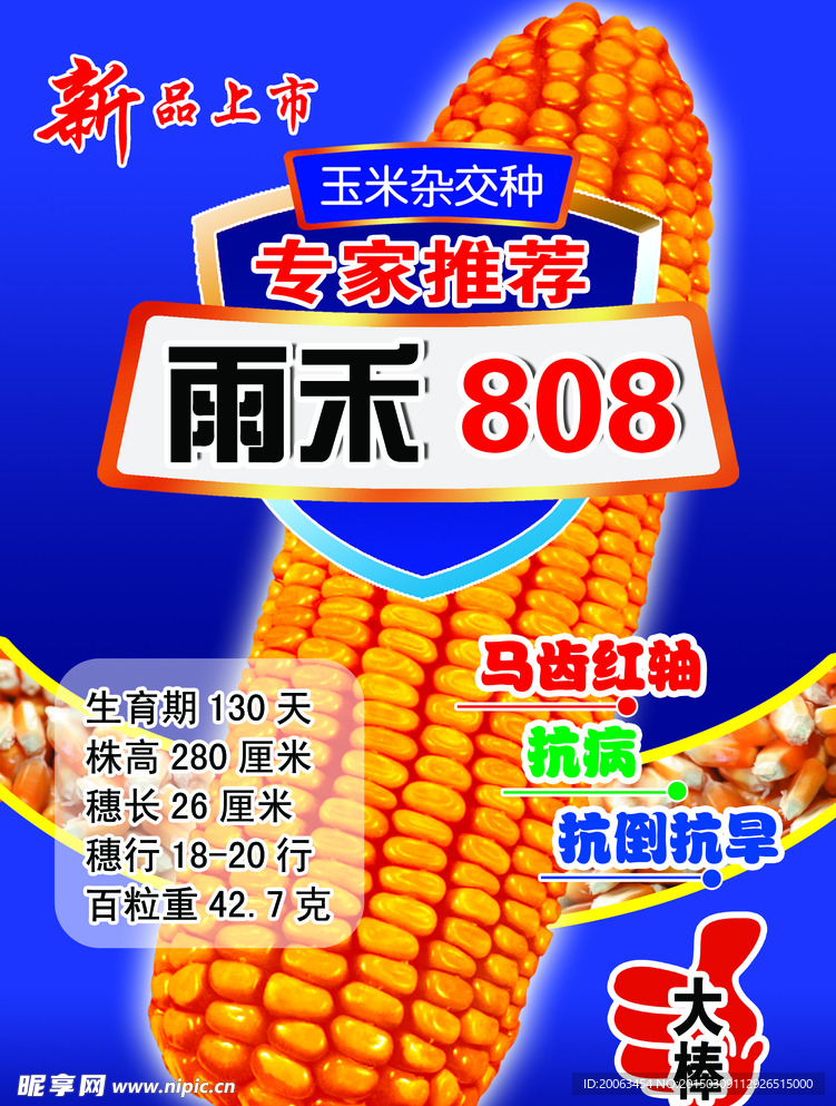 雨禾808