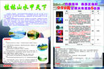 桂林山水