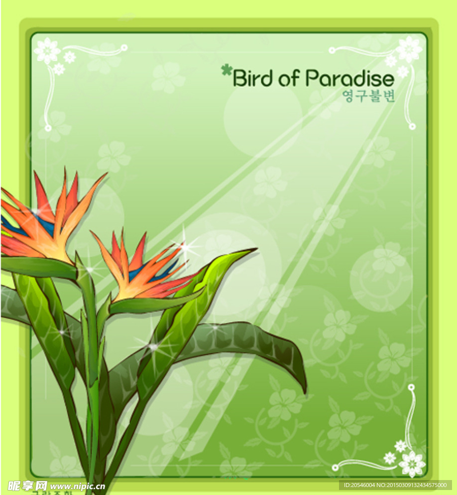 花之妖娆