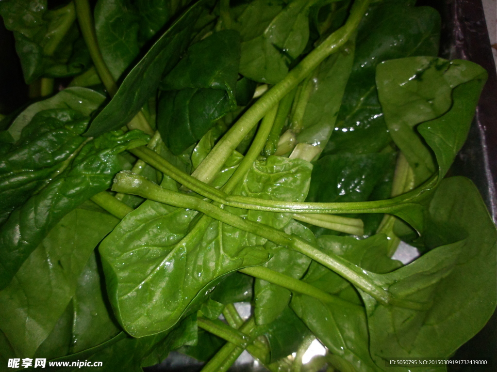 火锅菠菜