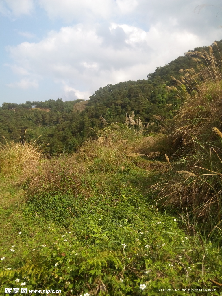 山村风光