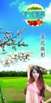 赏花摄影