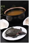 生氽甲鱼