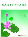 企业文化生态篇