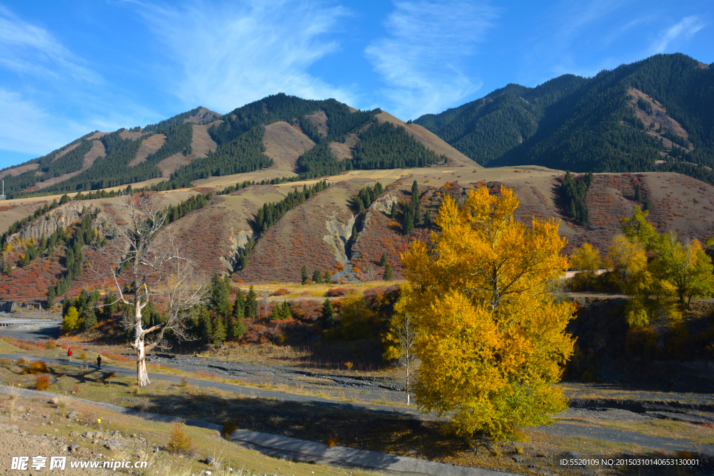 南山牧场