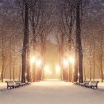 冬季公园道路雪景