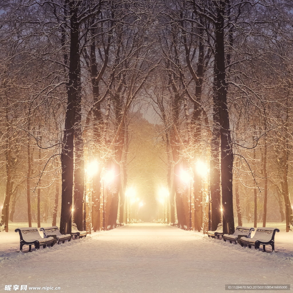 冬季公园道路雪景