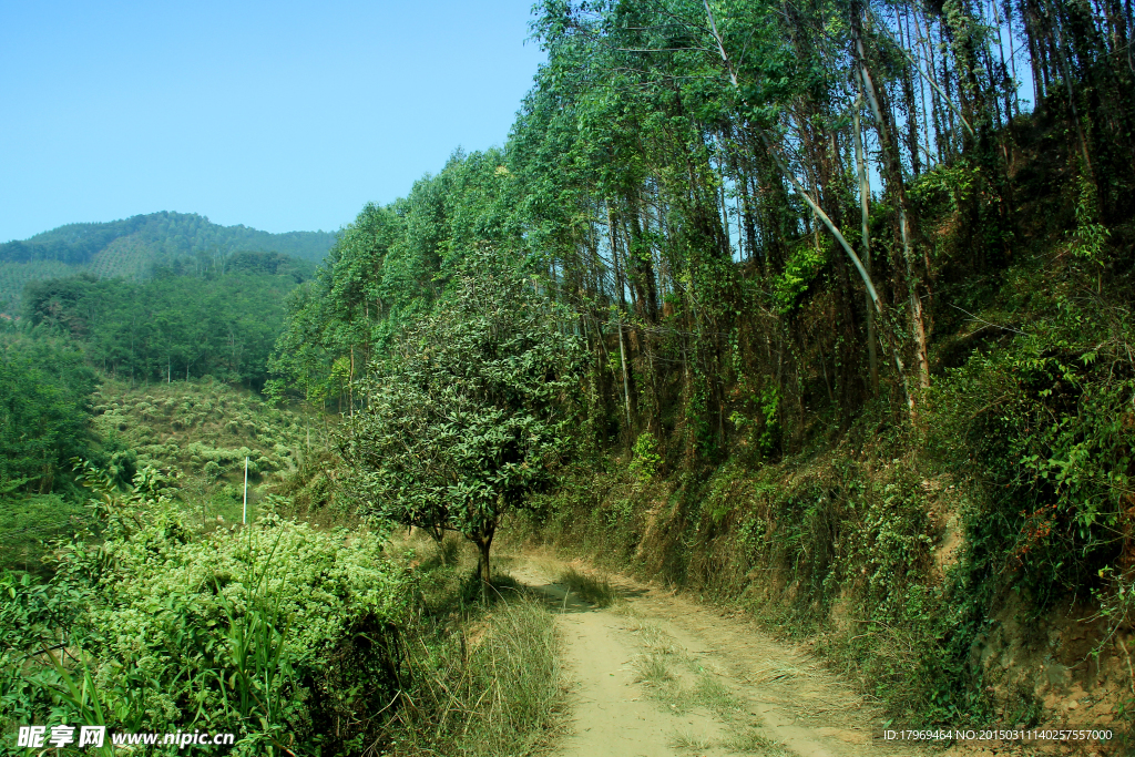 山路
