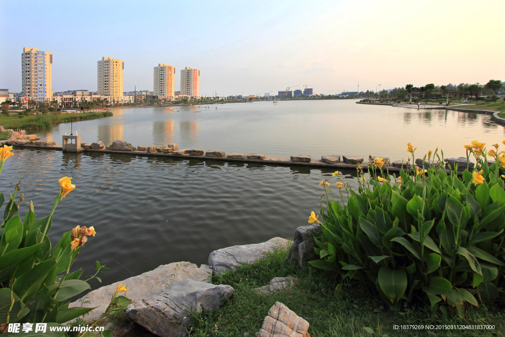 清水湖公园风景